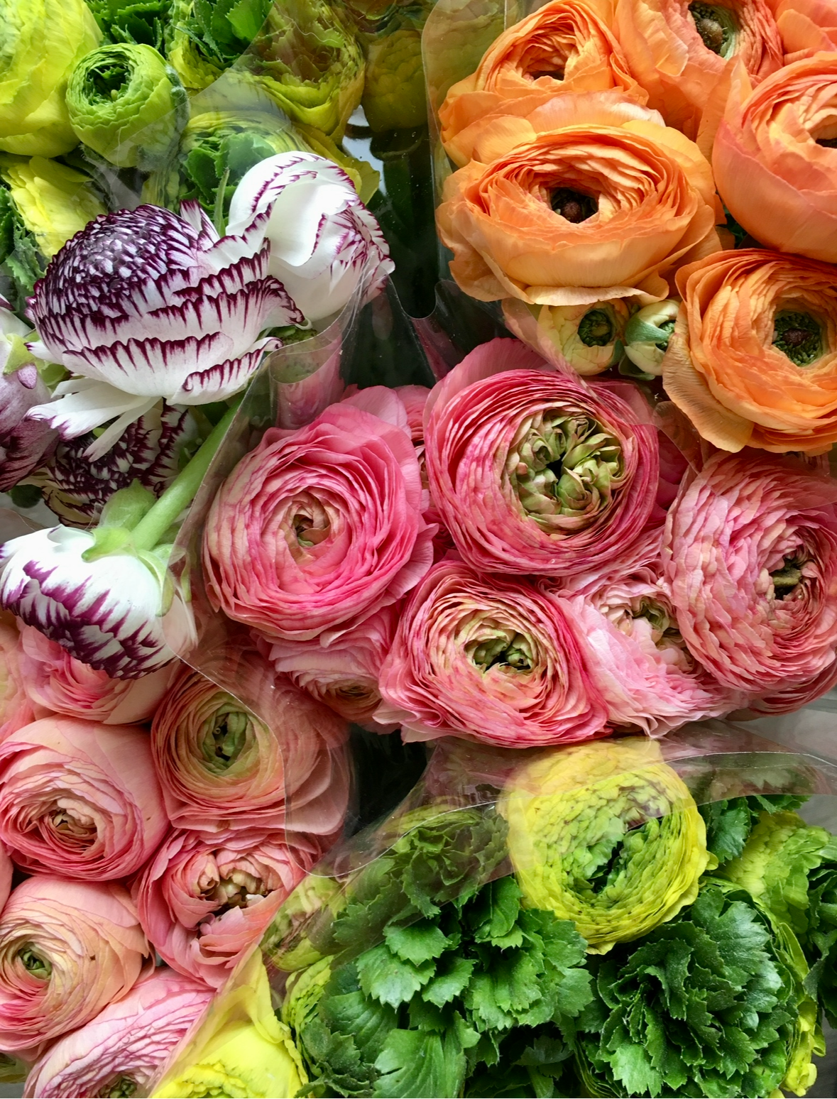 Spring arrangement workshop at Super Bien!