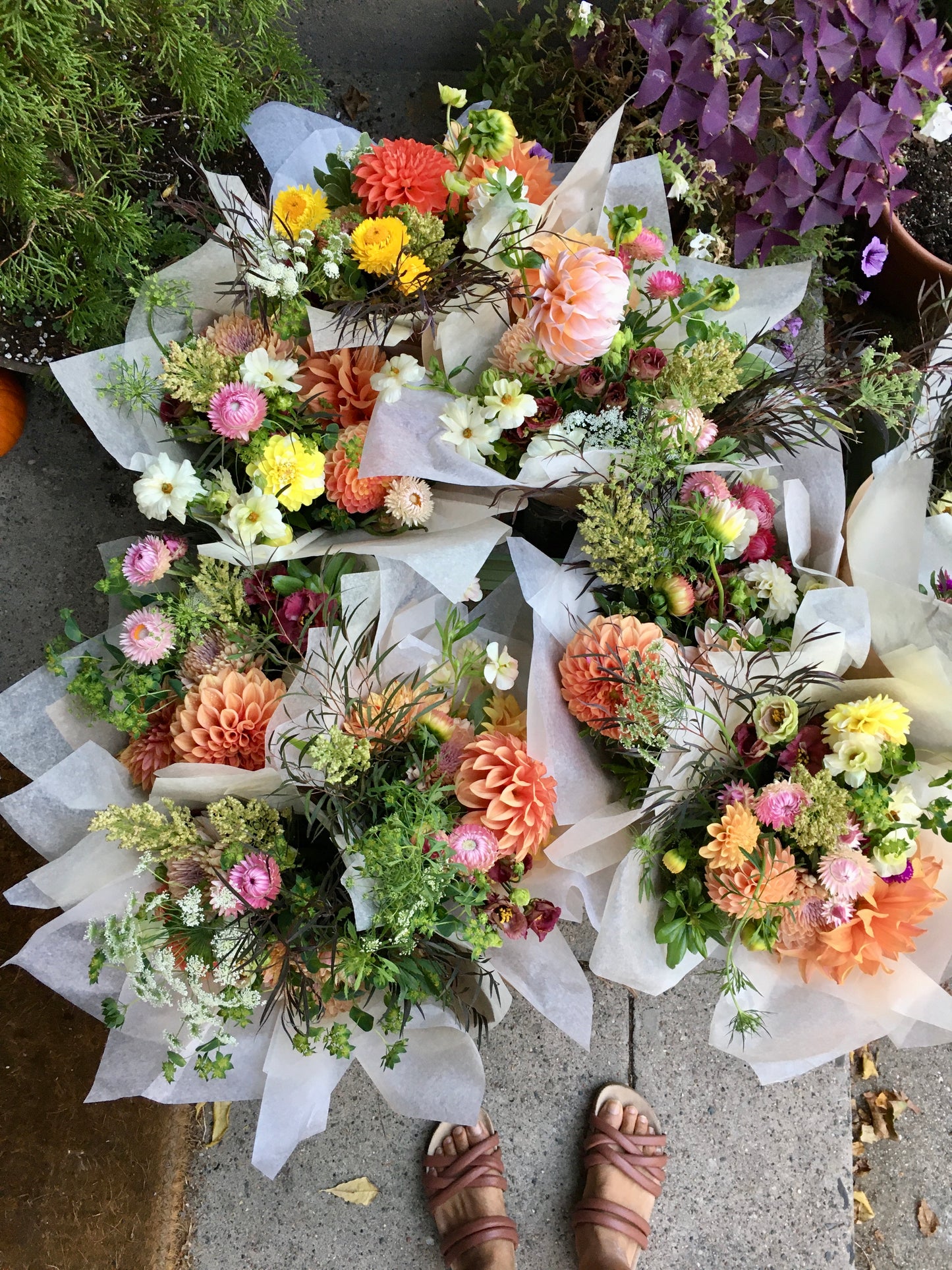 Monthly Bouquet