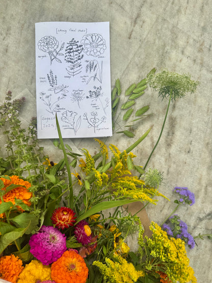 Monthly Bouquet Subscription