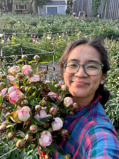 2-Week Peony Subscription