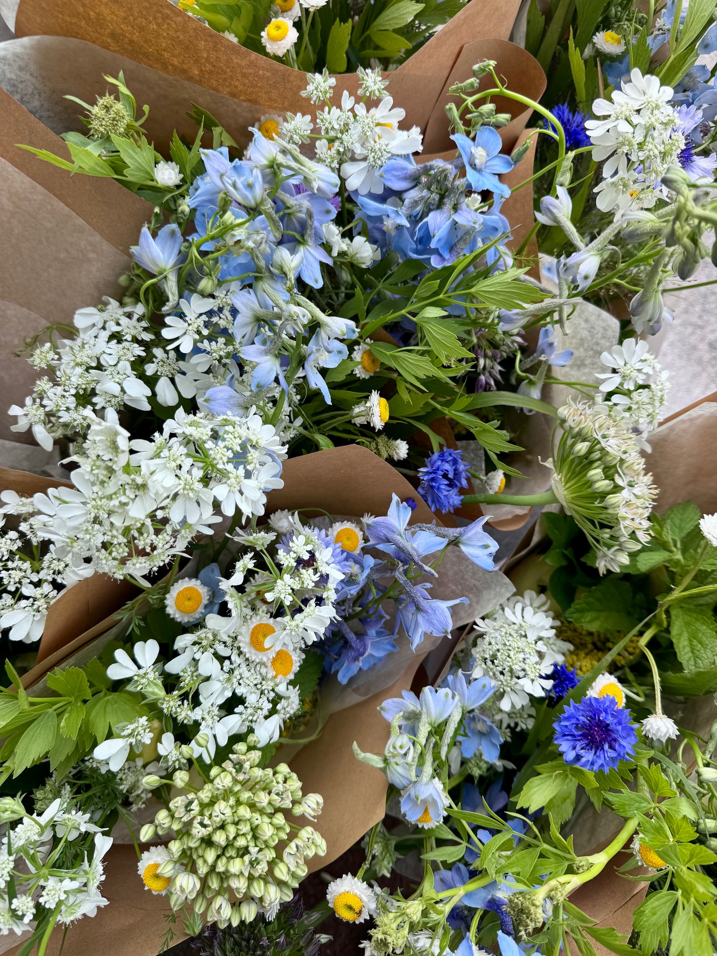 Monthly Bouquet Subscription