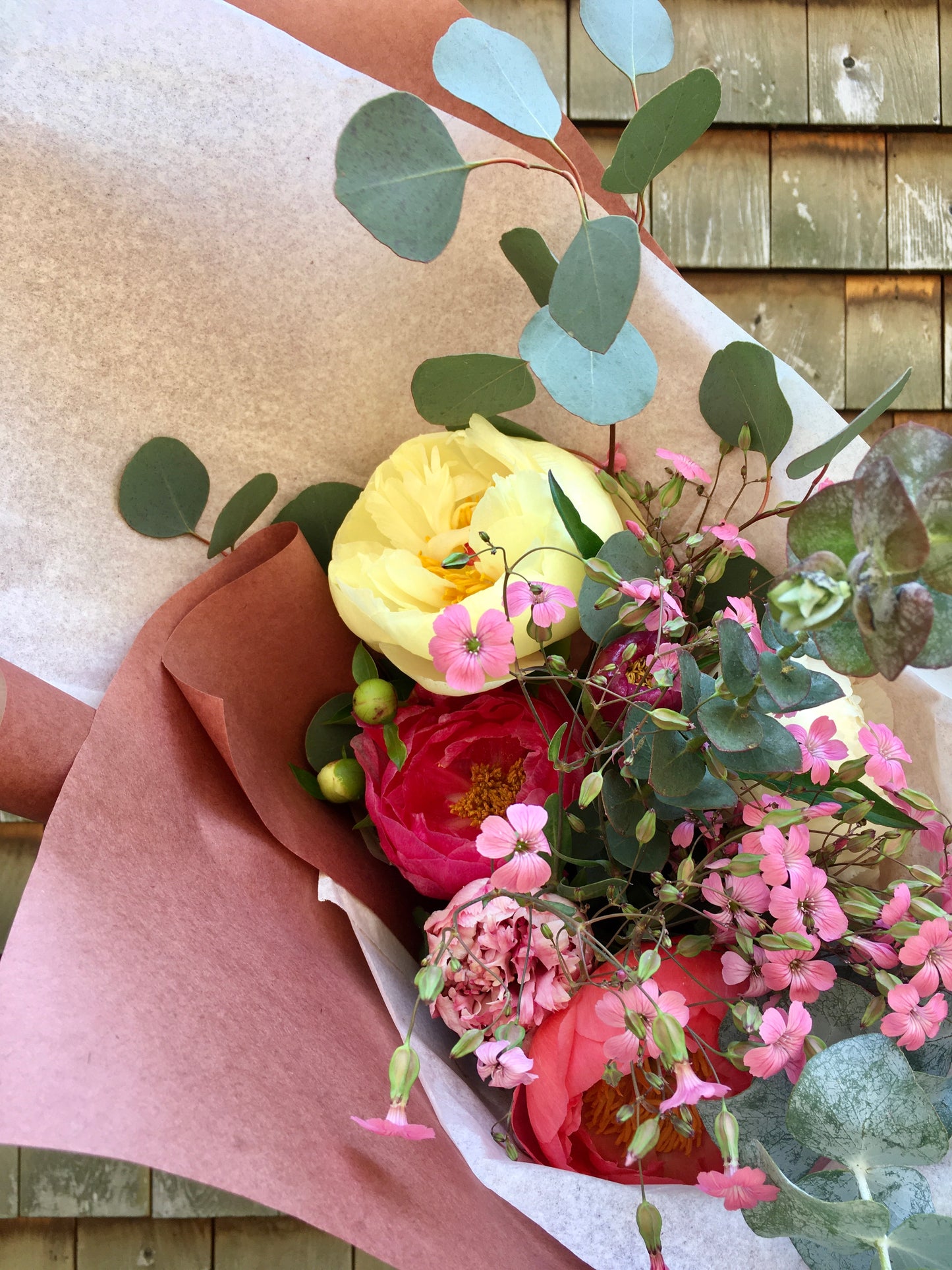 2-Week Peony Subscription